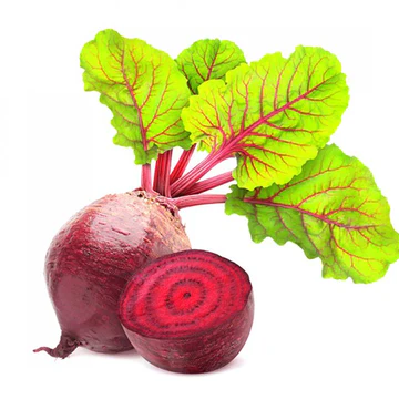 Çuğundur