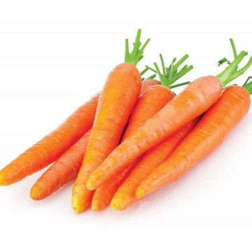 Kök