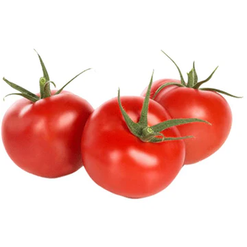 Pomidor